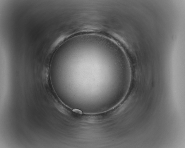 X0000114601355200910191610