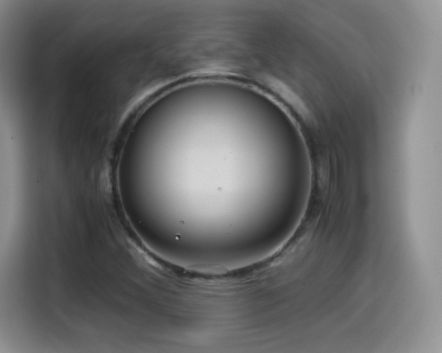 X0000114601356200910191610