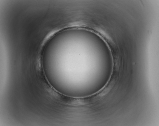 X0000114601358200910191609