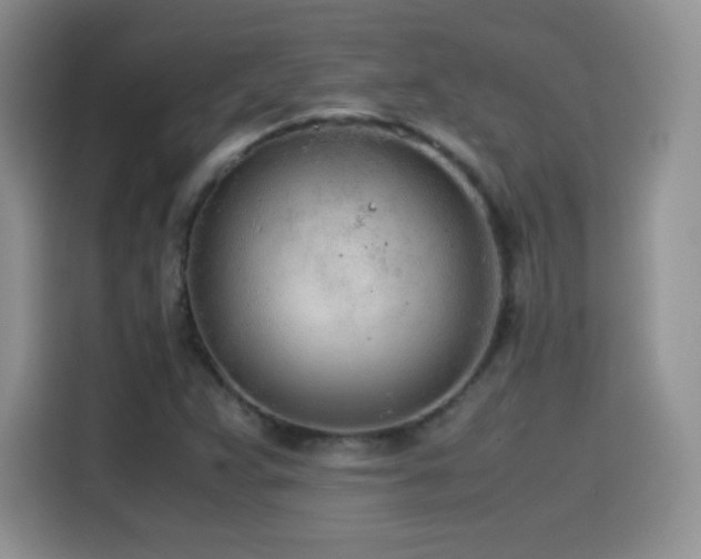 X0000114601359200910191609