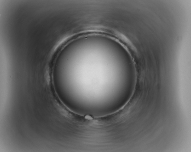 X0000114601360200910191609