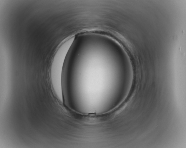 X0000114601361200910191609