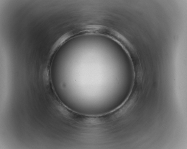 X0000114601362200910191609