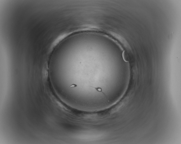 X0000114601363200910191609