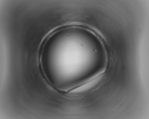 X0000114601364200910191609