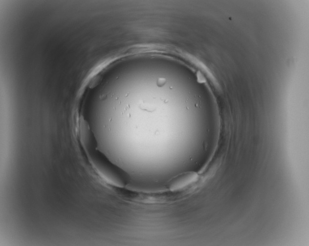 X0000114601365200910191609