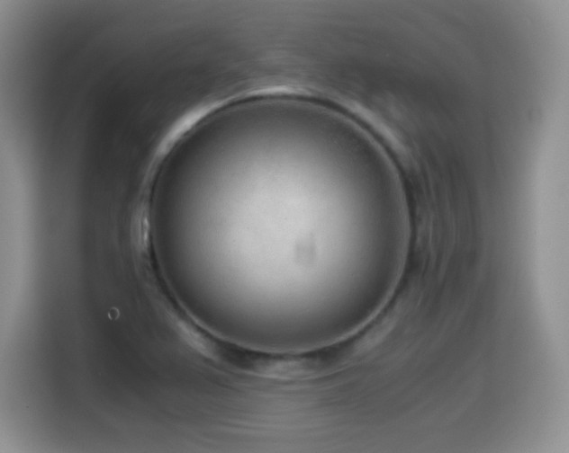 X0000114601367200910191609