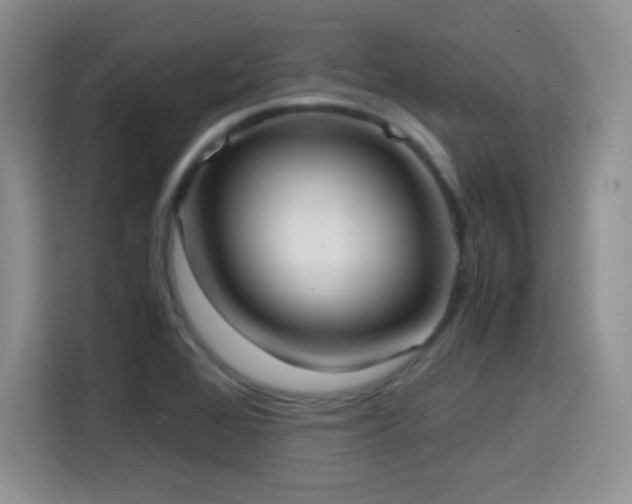 X0000114601368200910191609