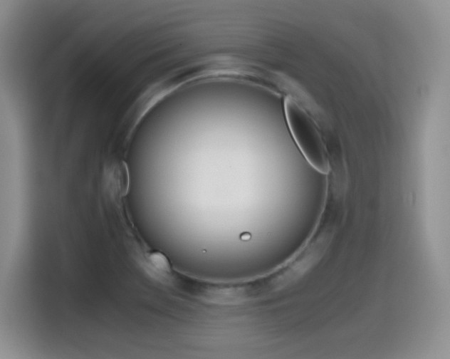 X0000114601369200910191609