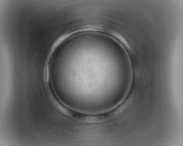 X0000114601371200910191609