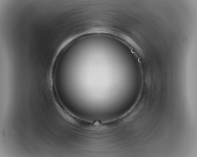 X0000114601372200910191609