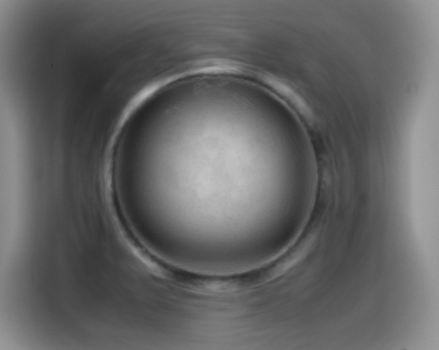 X0000114601375200910191609