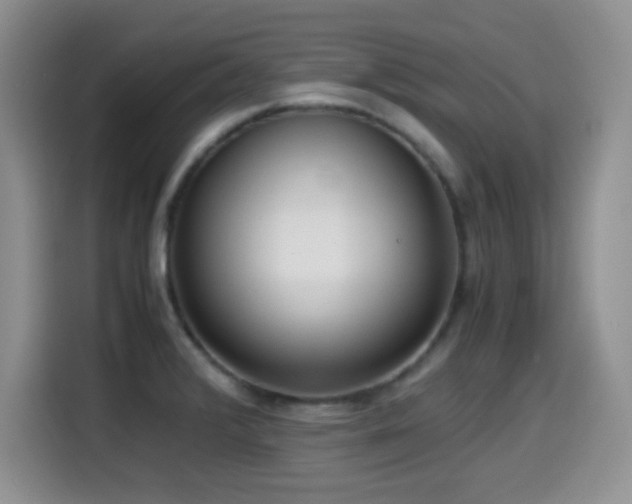 X0000114601376200910191609