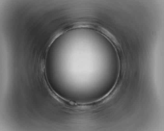 X0000114601377200910191609