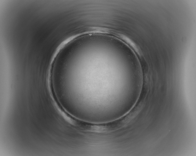 X0000114601379200910191609