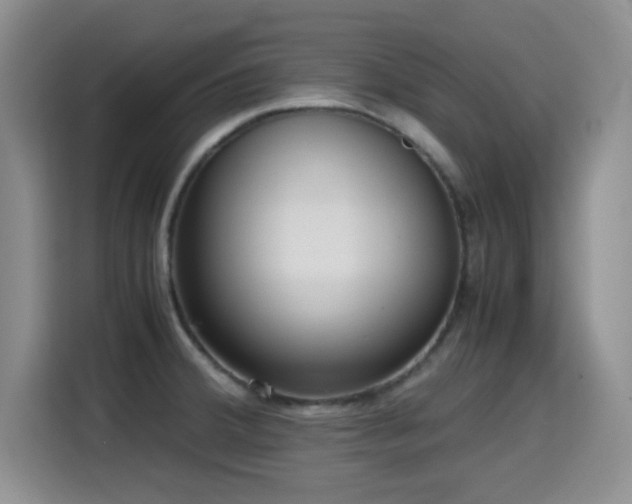 X0000114601380200910191609