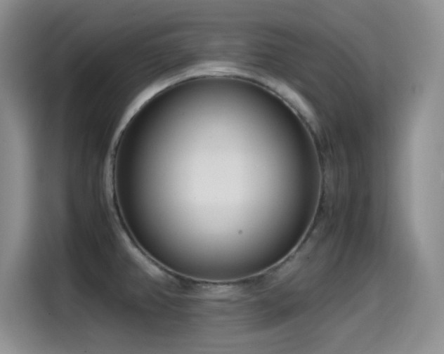 X0000114601382200910191609