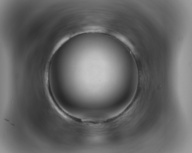 X0000114601383200910191609