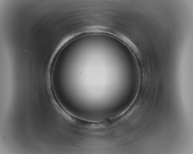 X0000114601384200910191609