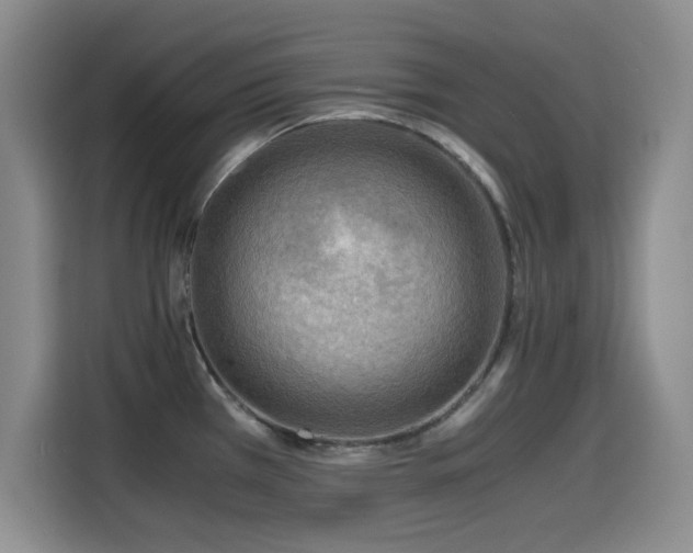 X0000114601385200910191609