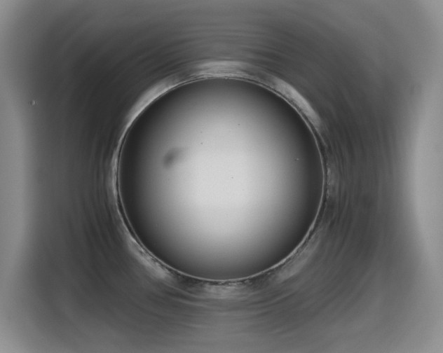 X0000114601386200910191609