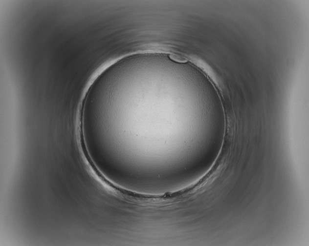 X0000114601387200910191609