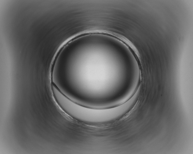 X0000114601388200910191609