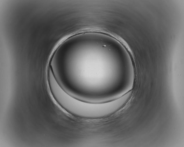 X0000114601389200910191609