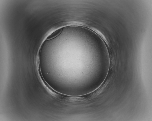 X0000114601391200910191609