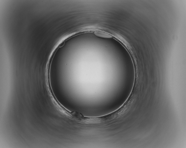 X0000114601392200910191609