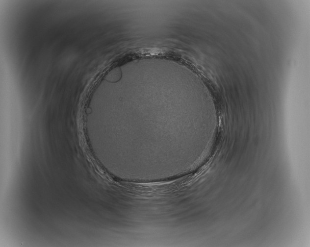 X0000114601393200910191608