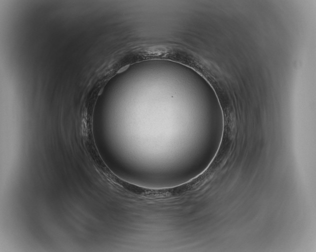 X0000114601394200910191608