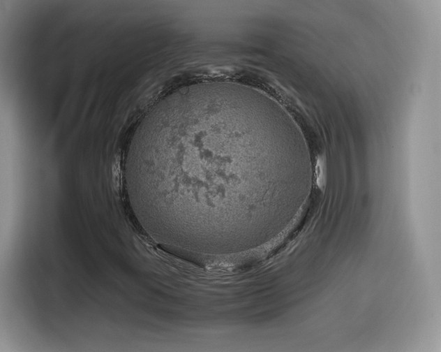 X0000114601395200910191608