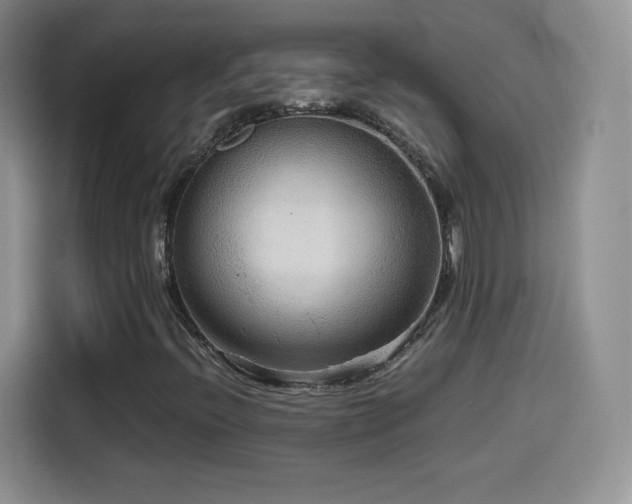 X0000114601396200910191608