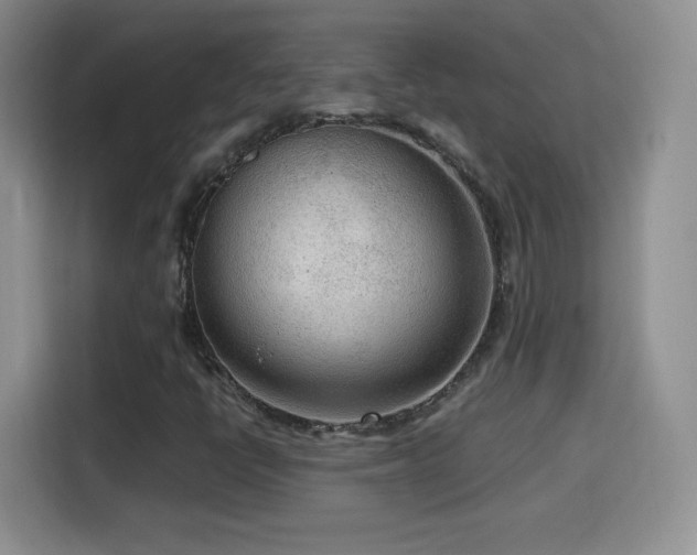 X0000114601398200910191608