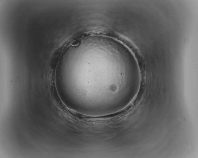 X0000114601399200910191608