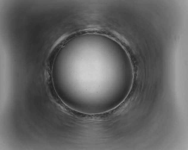 X0000114601400200910191608