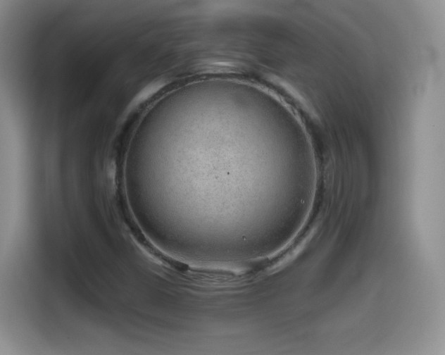 X0000114601402200910191608