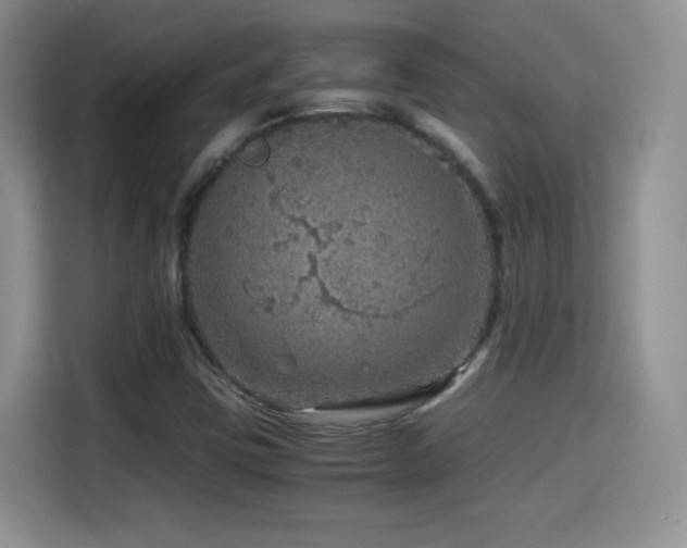 X0000114601403200910191608