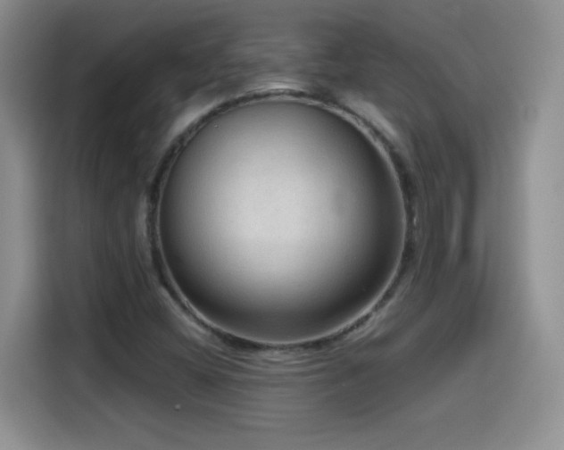 X0000114601404200910191608