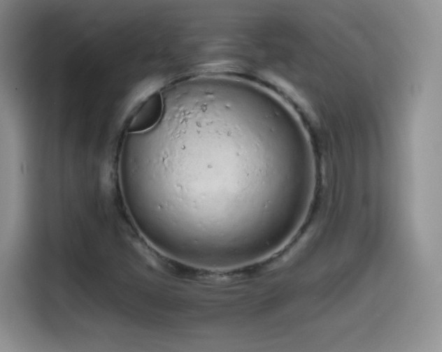 X0000114601405200910191608