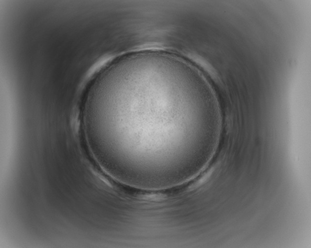 X0000114601406200910191608