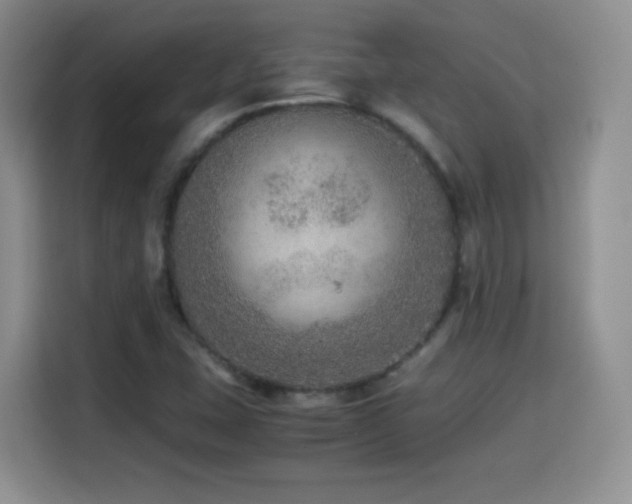 X0000114601407200910191609