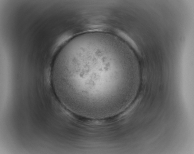 X0000114601411200910191609