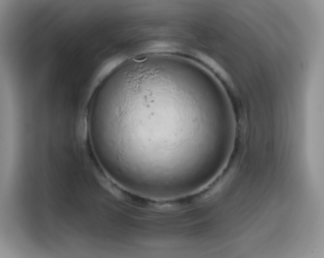 X0000114601413200910191609