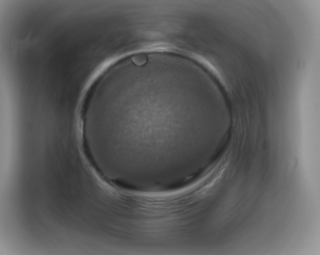 X0000114601414200910191609