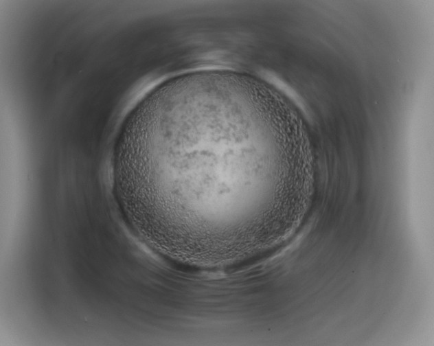 X0000114601415200910191609