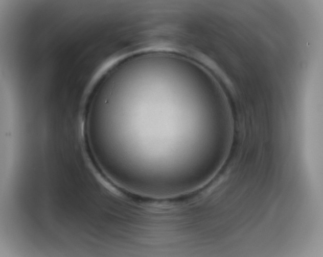 X0000114601416200910191609