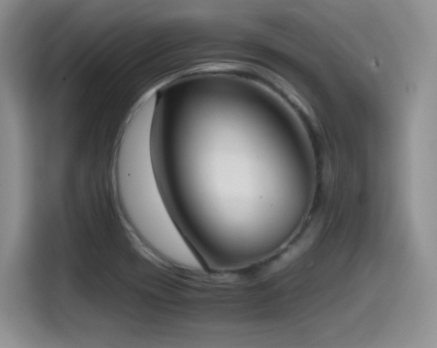 X0000114601417200910191609