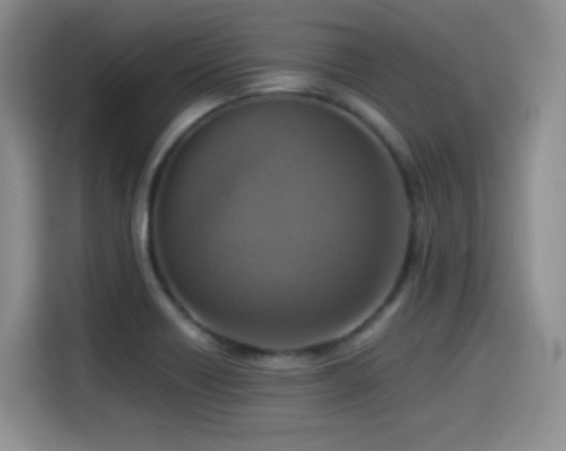 X0000114601418200910191609